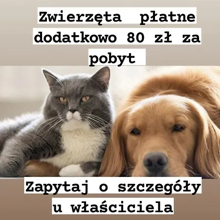 Marszalkowska Street Centrum Netflix Appartement